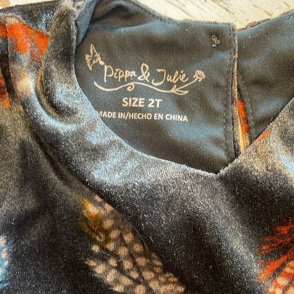 2T Velvet Feather Dress - Picture 3 of 5